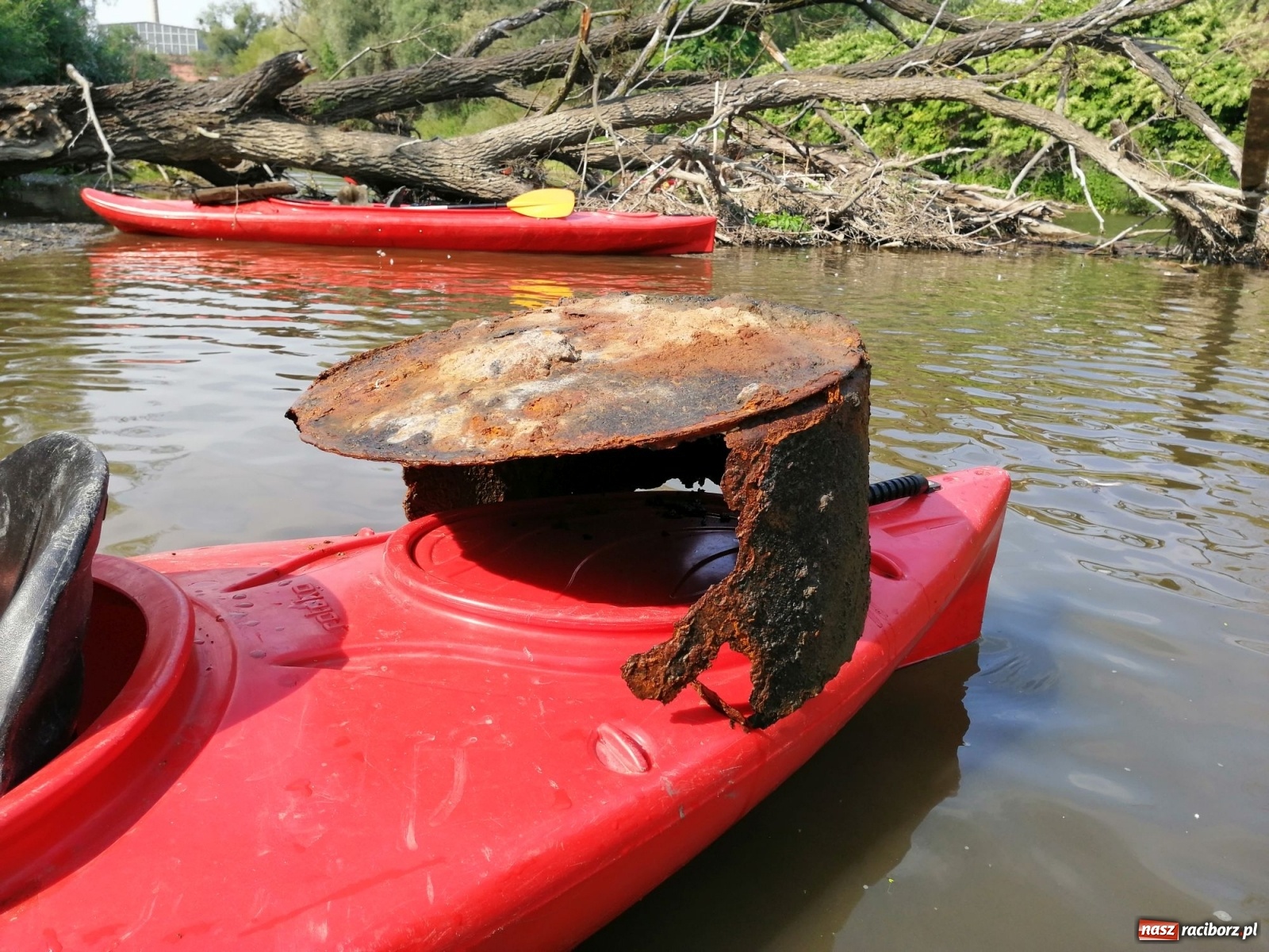Zdjęcie w galerii na portalu naszraciborz.pl: Organizatorzy Pływadła szukają chętnych do sprzątania Odry wiadomości z regionu