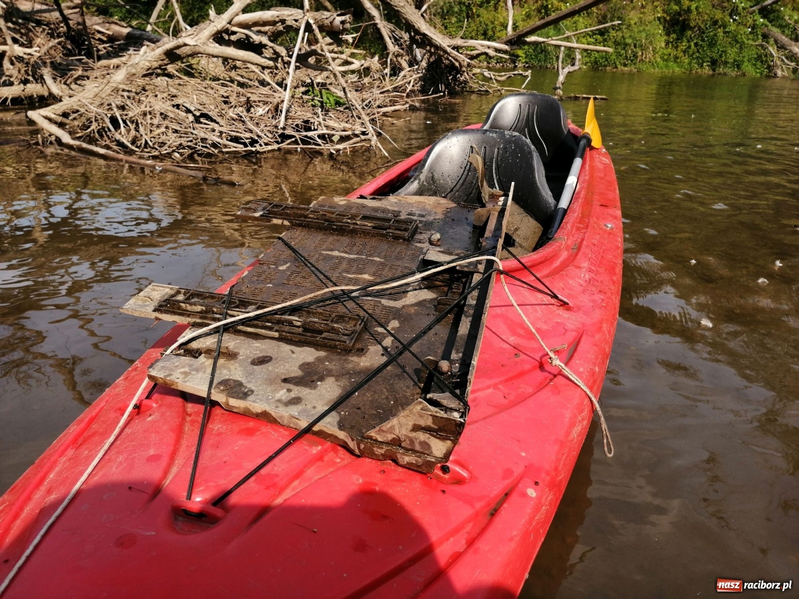 Zdjęcie w galerii na portalu naszraciborz.pl: Organizatorzy Pływadła szukają chętnych do sprzątania Odry wiadomości z regionu