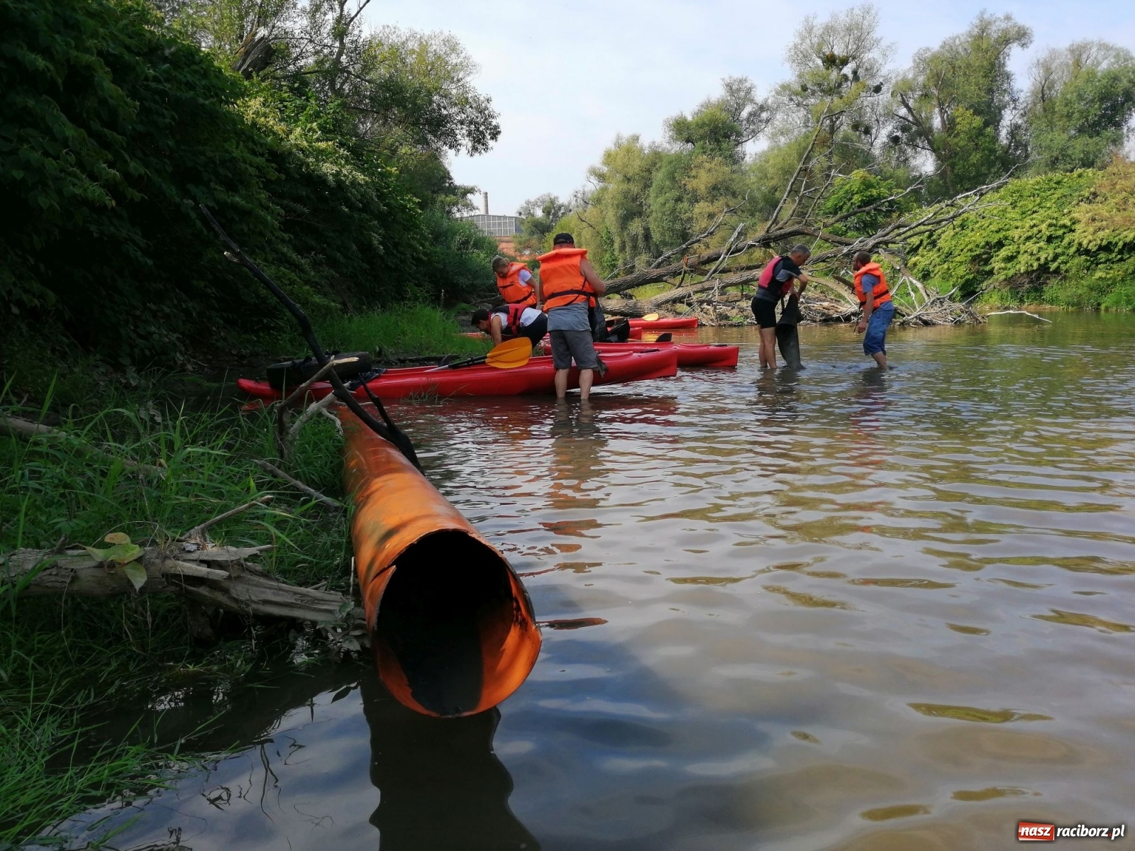 Zdjęcie w galerii na portalu naszraciborz.pl: Organizatorzy Pływadła szukają chętnych do sprzątania Odry wiadomości z regionu