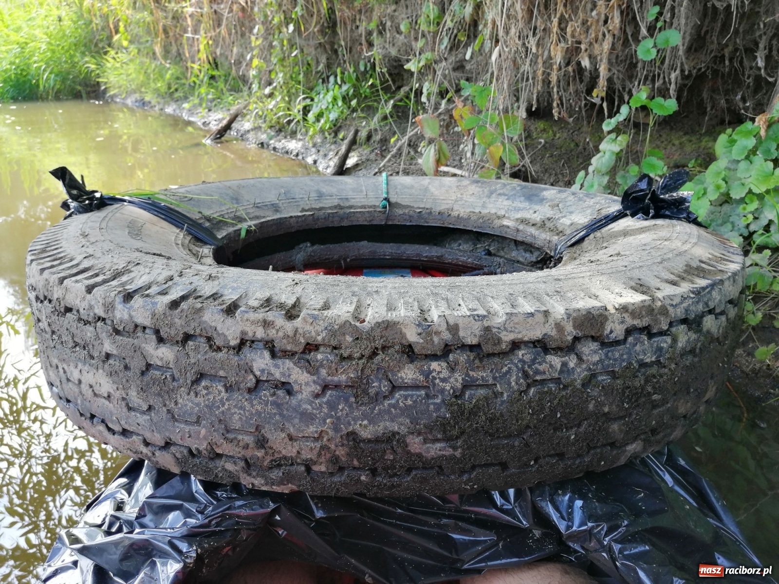 Zdjęcie w galerii na portalu naszraciborz.pl: Organizatorzy Pływadła szukają chętnych do sprzątania Odry wiadomości z regionu