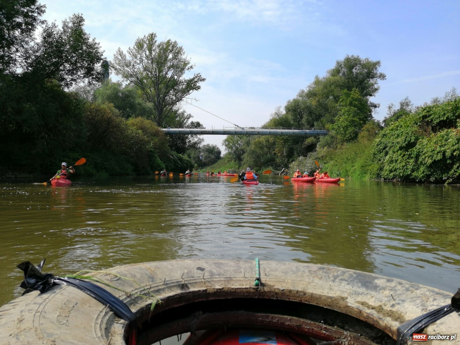 Zdjęcie w galerii na portalu naszraciborz.pl: Organizatorzy Pływadła szukają chętnych do sprzątania Odry wiadomości z regionu