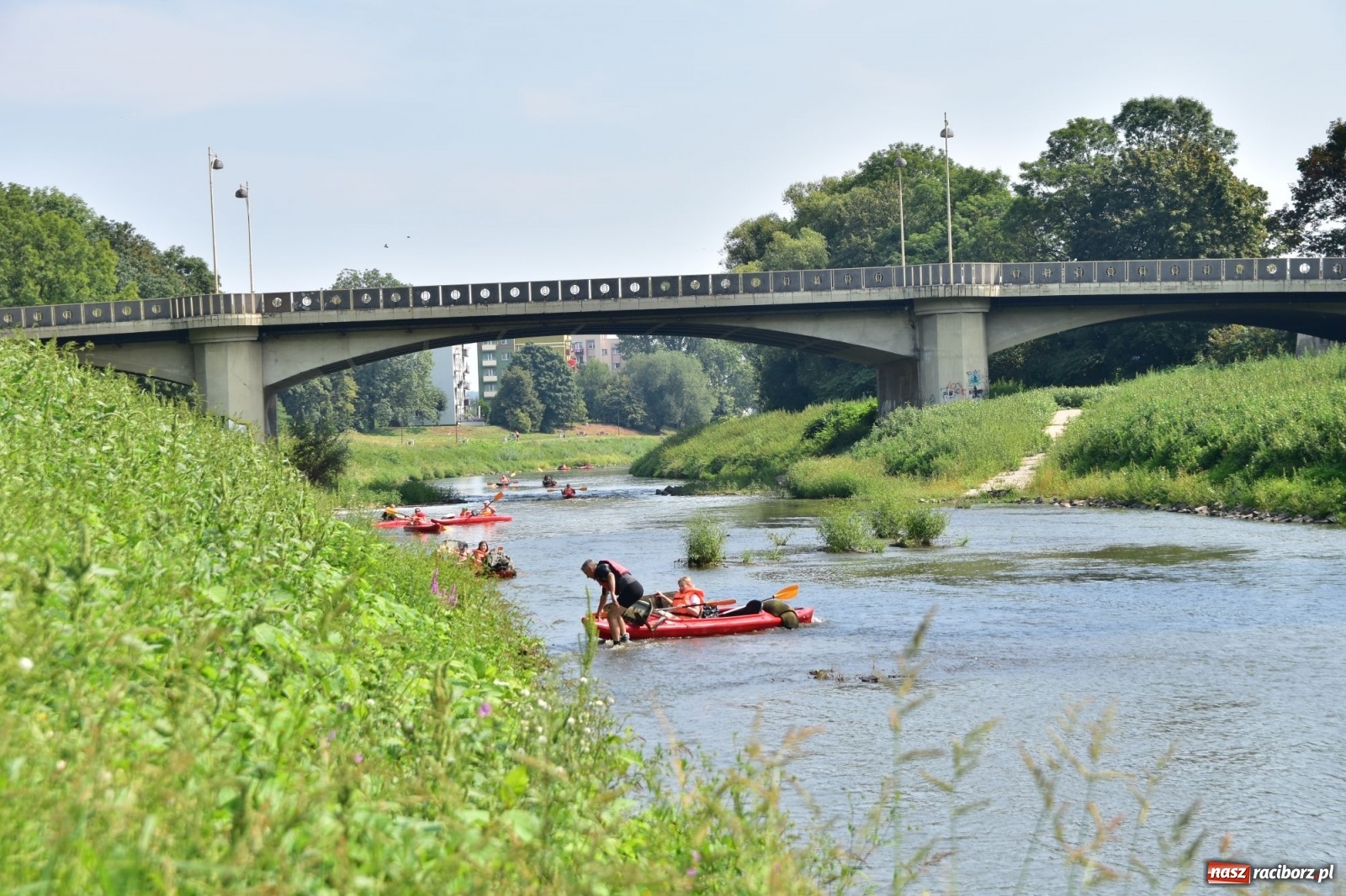 Zdjęcie w galerii na portalu naszraciborz.pl: Organizatorzy Pływadła szukają chętnych do sprzątania Odry wiadomości z regionu