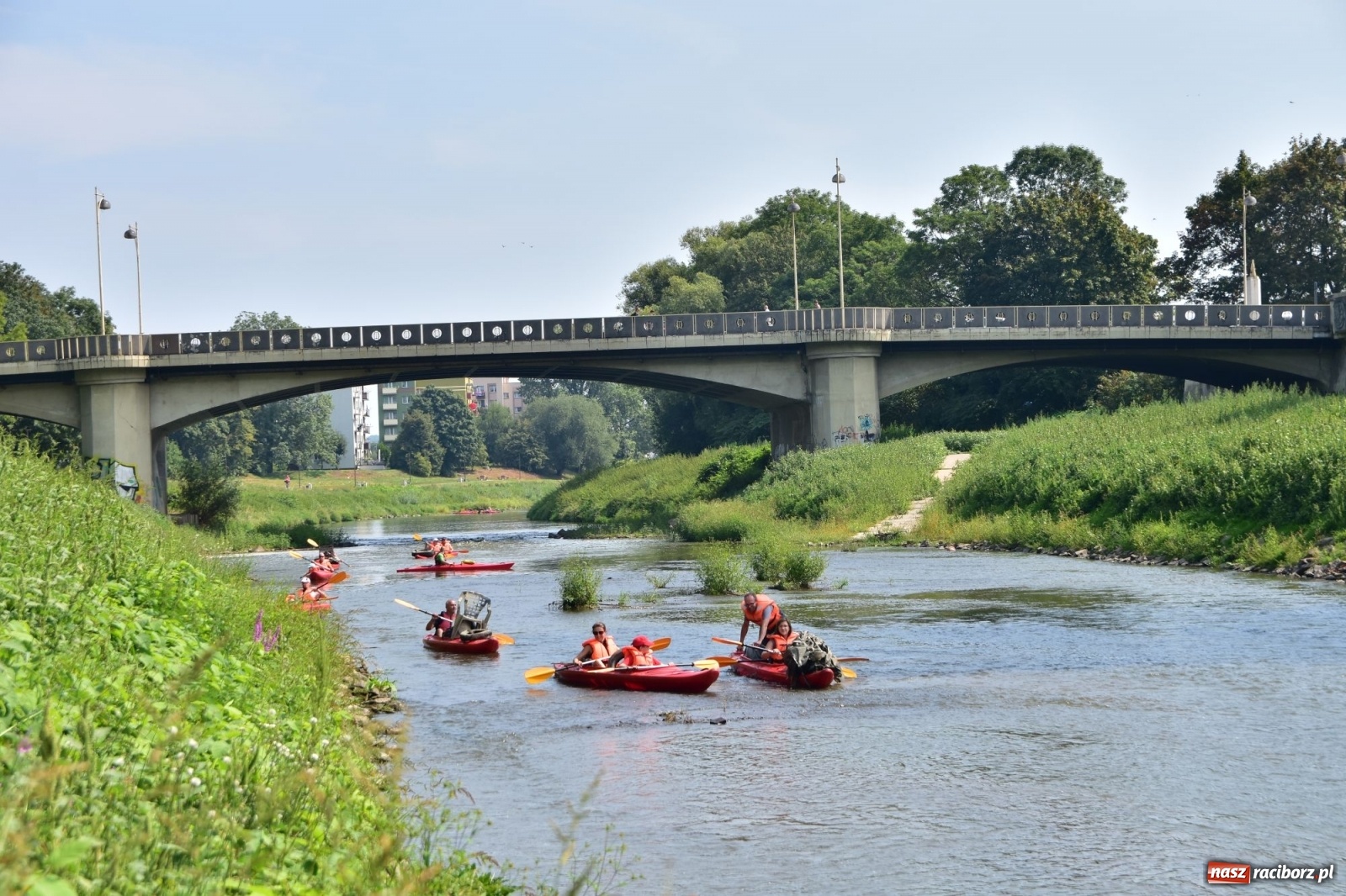 Zdjęcie w galerii na portalu naszraciborz.pl: Organizatorzy Pływadła szukają chętnych do sprzątania Odry wiadomości z regionu