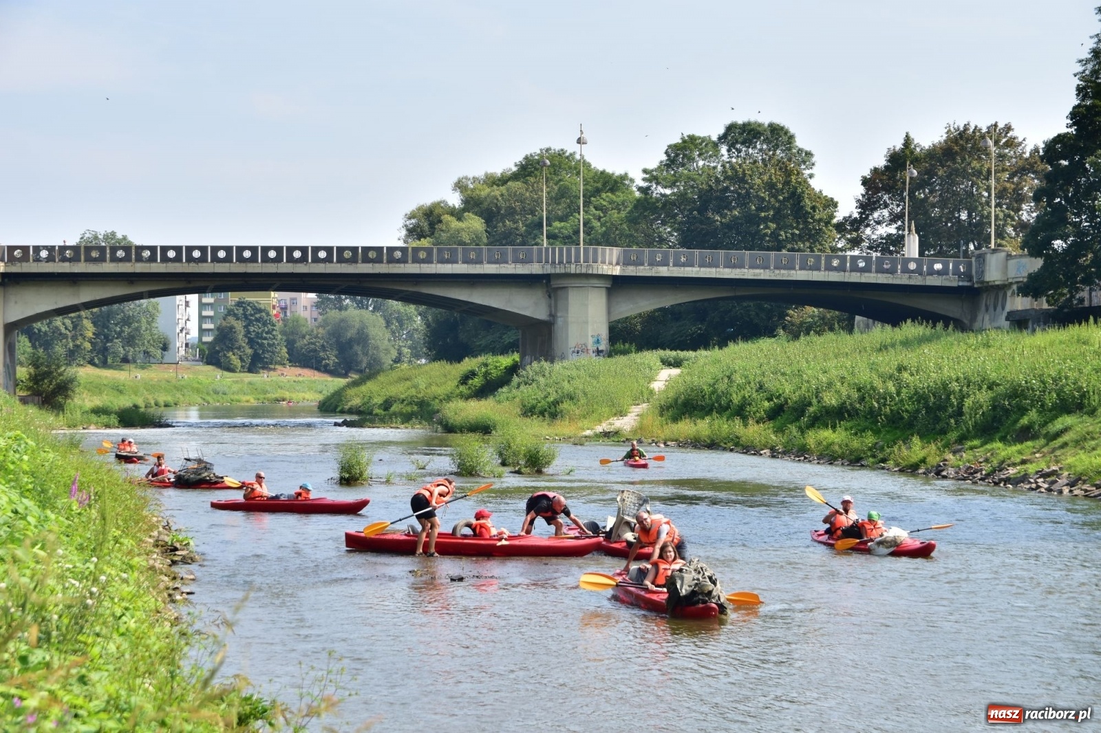 Zdjęcie w galerii na portalu naszraciborz.pl: Organizatorzy Pływadła szukają chętnych do sprzątania Odry wiadomości z regionu