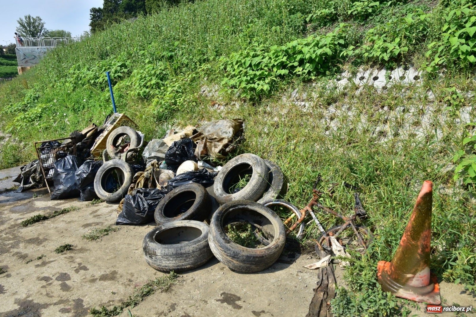 Zdjęcie w galerii na portalu naszraciborz.pl: Organizatorzy Pływadła szukają chętnych do sprzątania Odry wiadomości z regionu