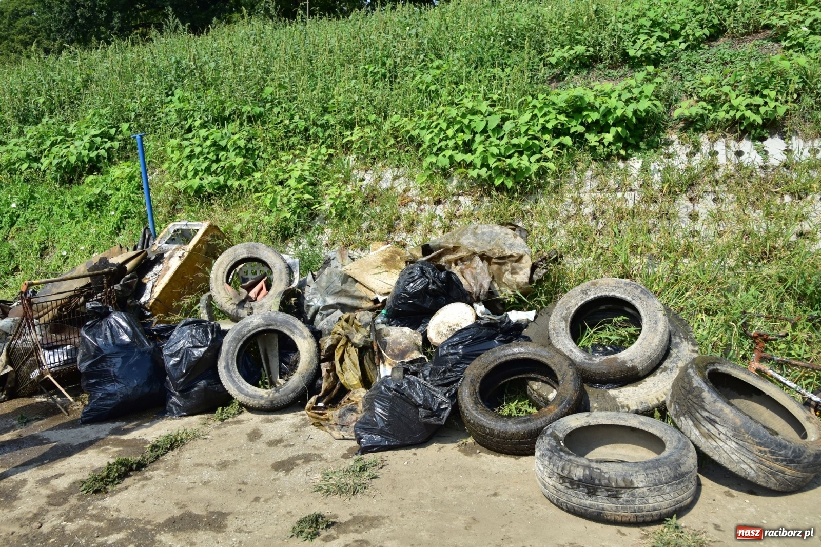 Zdjęcie w galerii na portalu naszraciborz.pl: Organizatorzy Pływadła szukają chętnych do sprzątania Odry wiadomości z regionu