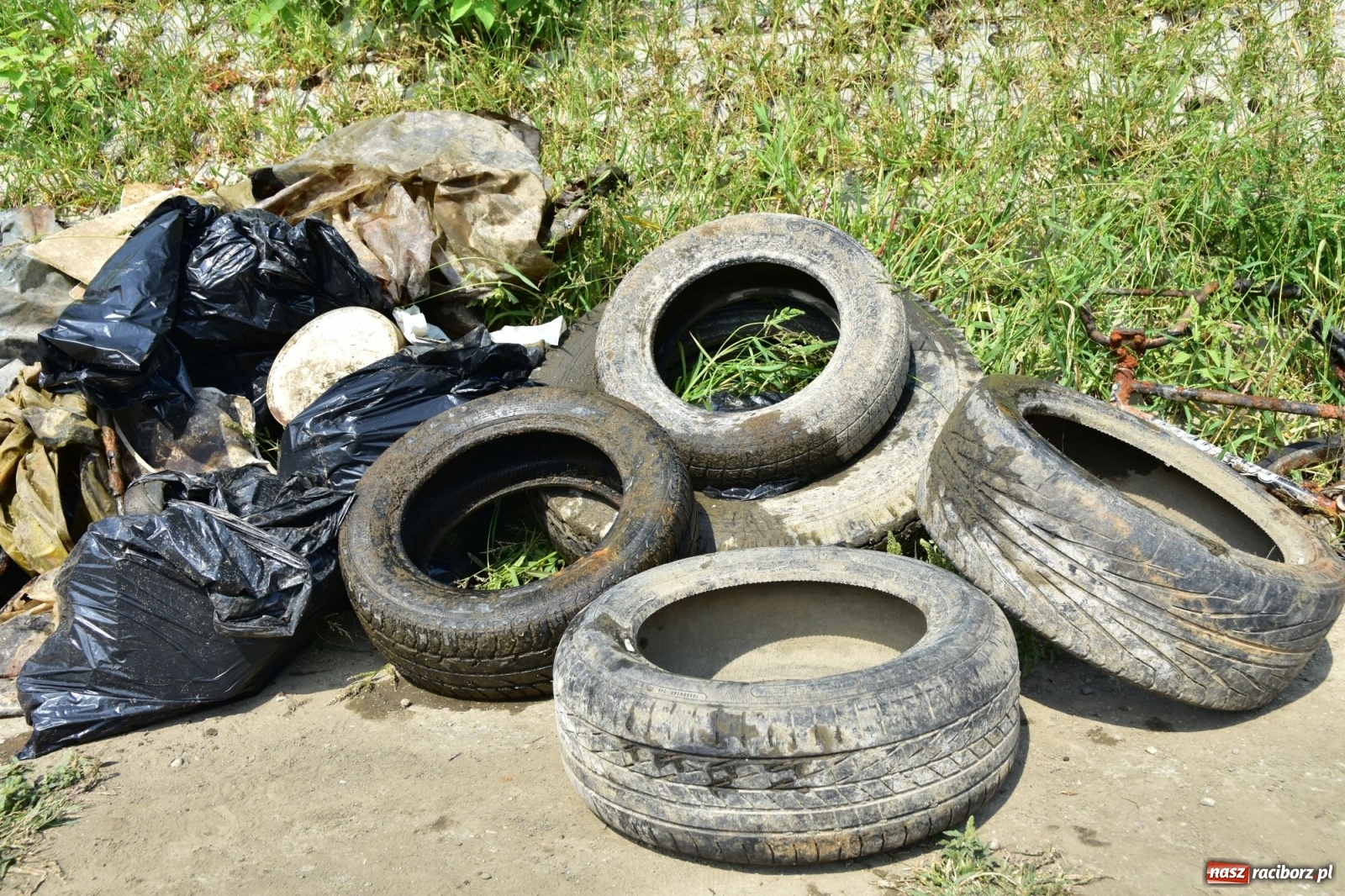 Zdjęcie w galerii na portalu naszraciborz.pl: Organizatorzy Pływadła szukają chętnych do sprzątania Odry wiadomości z regionu
