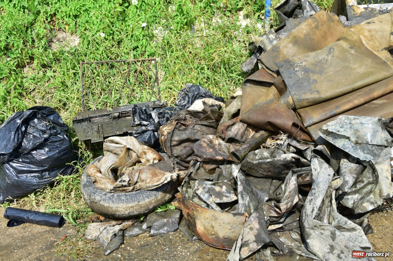 Zdjęcie w galerii na portalu naszraciborz.pl: Organizatorzy Pływadła szukają chętnych do sprzątania Odry wiadomości z regionu