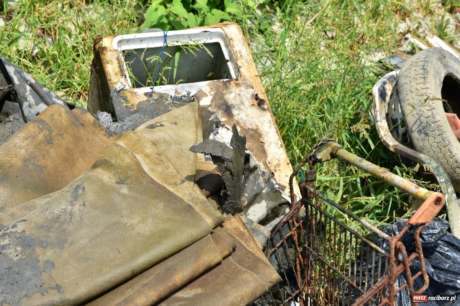 Zdjęcie w galerii na portalu naszraciborz.pl: Organizatorzy Pływadła szukają chętnych do sprzątania Odry wiadomości z regionu