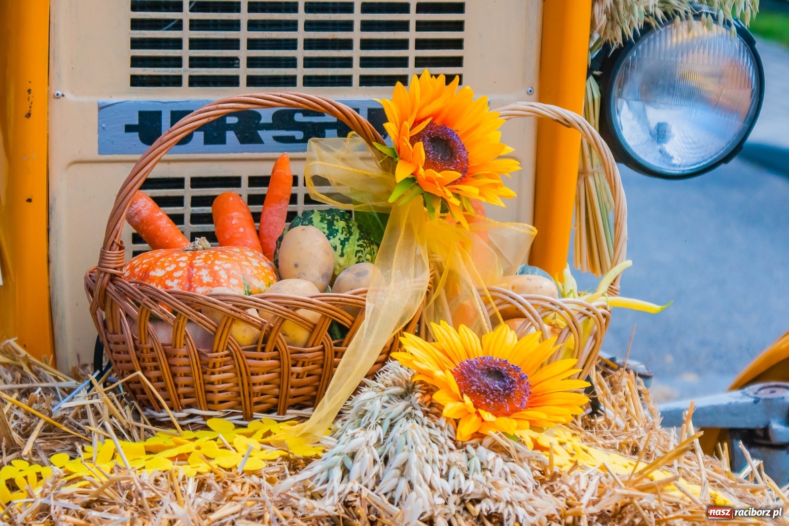 Zdjęcie w galerii na portalu naszraciborz.pl: Pozbierałeś z pola chłopie, teraz pomyśl o urlopie. Dożynki w Szonowicach [FOTO i WIDEO] wiadomości z regionu