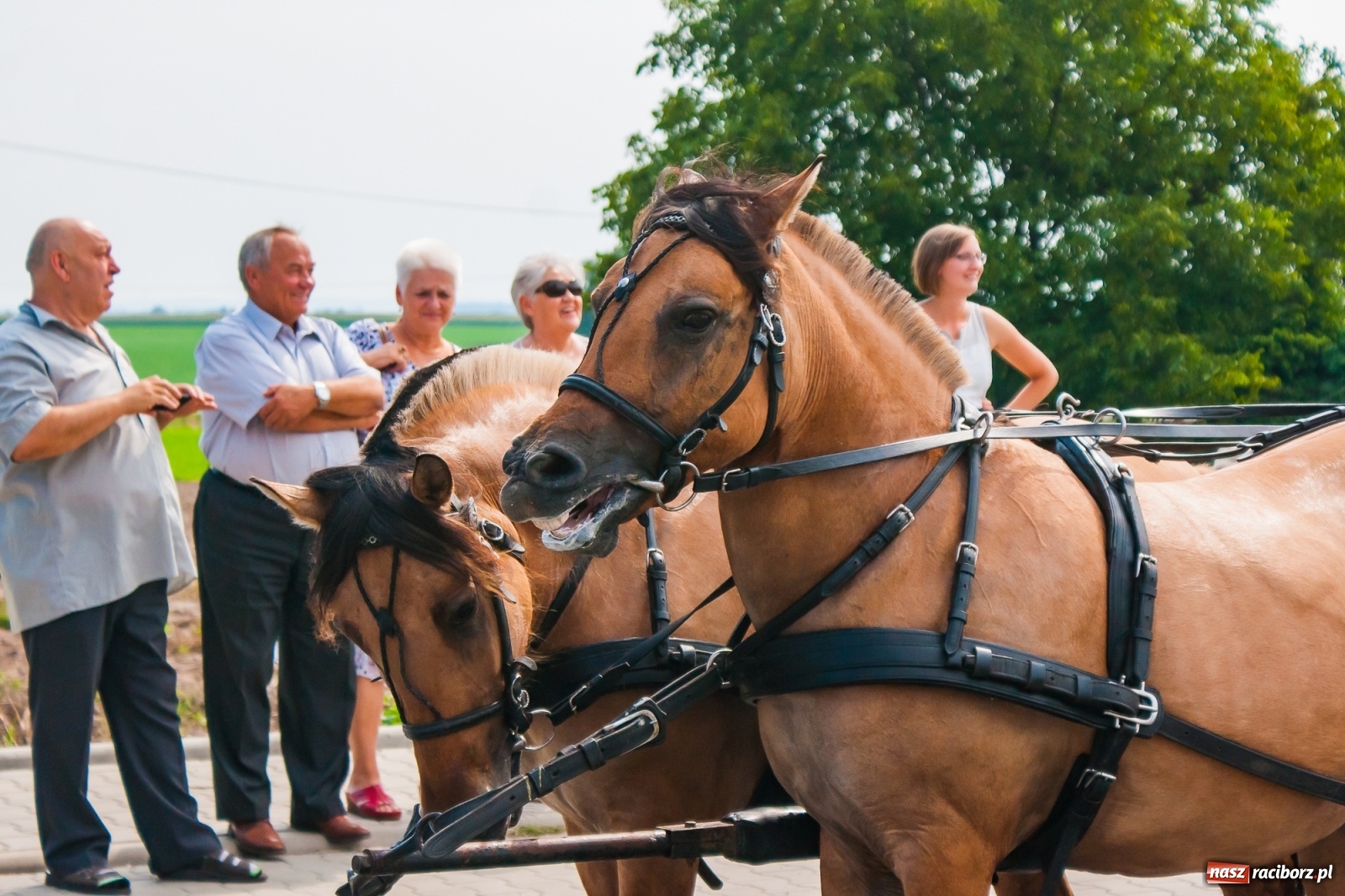 Zdjęcie w galerii na portalu naszraciborz.pl: Pozbierałeś z pola chłopie, teraz pomyśl o urlopie. Dożynki w Szonowicach [FOTO i WIDEO] wiadomości z regionu