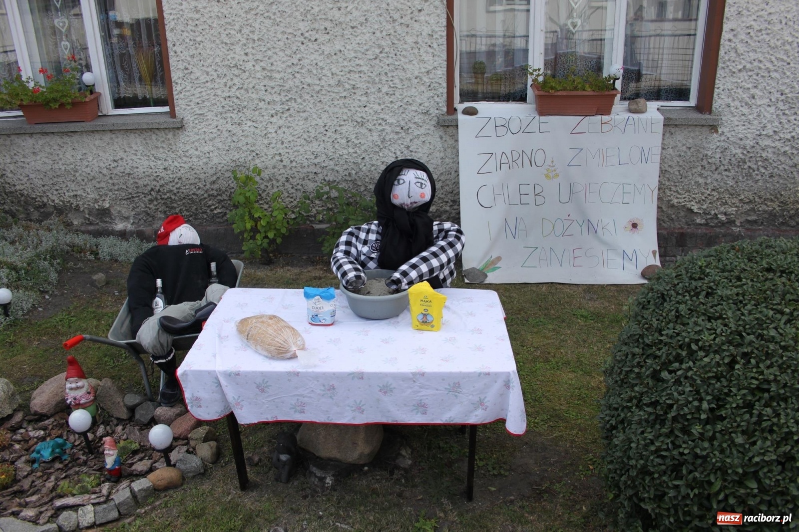 Zdjęcie w galerii na portalu naszraciborz.pl: Wojnowice. Po rewii przebojów czas na korowód [FOTO i WIDEO] wiadomości z regionu