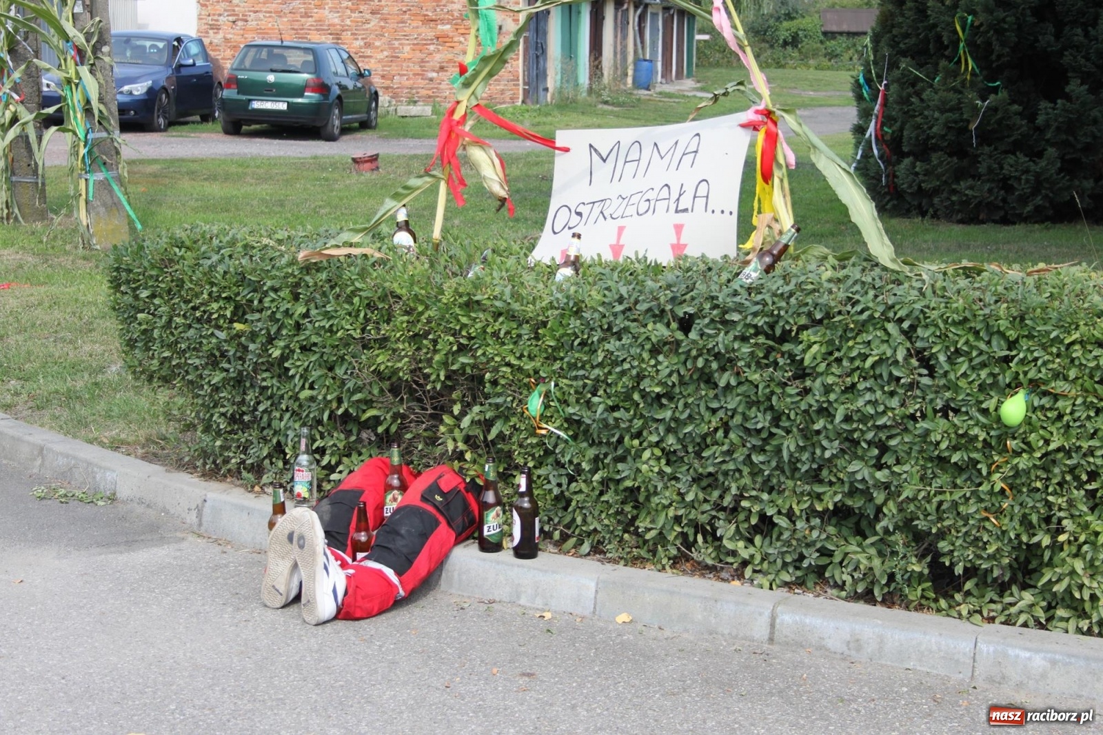 Zdjęcie w galerii na portalu naszraciborz.pl: Wojnowice. Po rewii przebojów czas na korowód [FOTO i WIDEO] wiadomości z regionu
