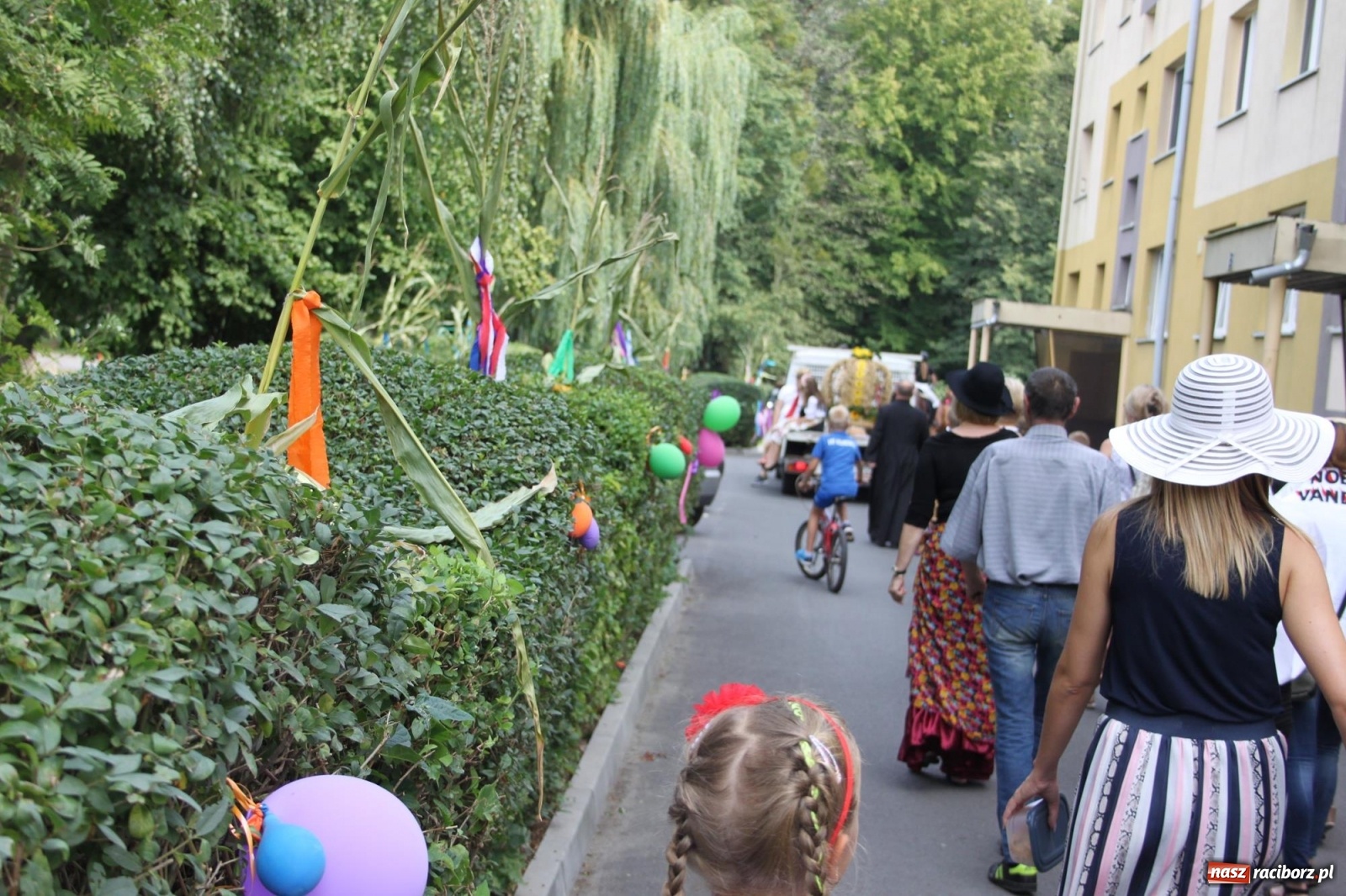 Zdjęcie w galerii na portalu naszraciborz.pl: Wojnowice. Po rewii przebojów czas na korowód [FOTO i WIDEO] wiadomości z regionu