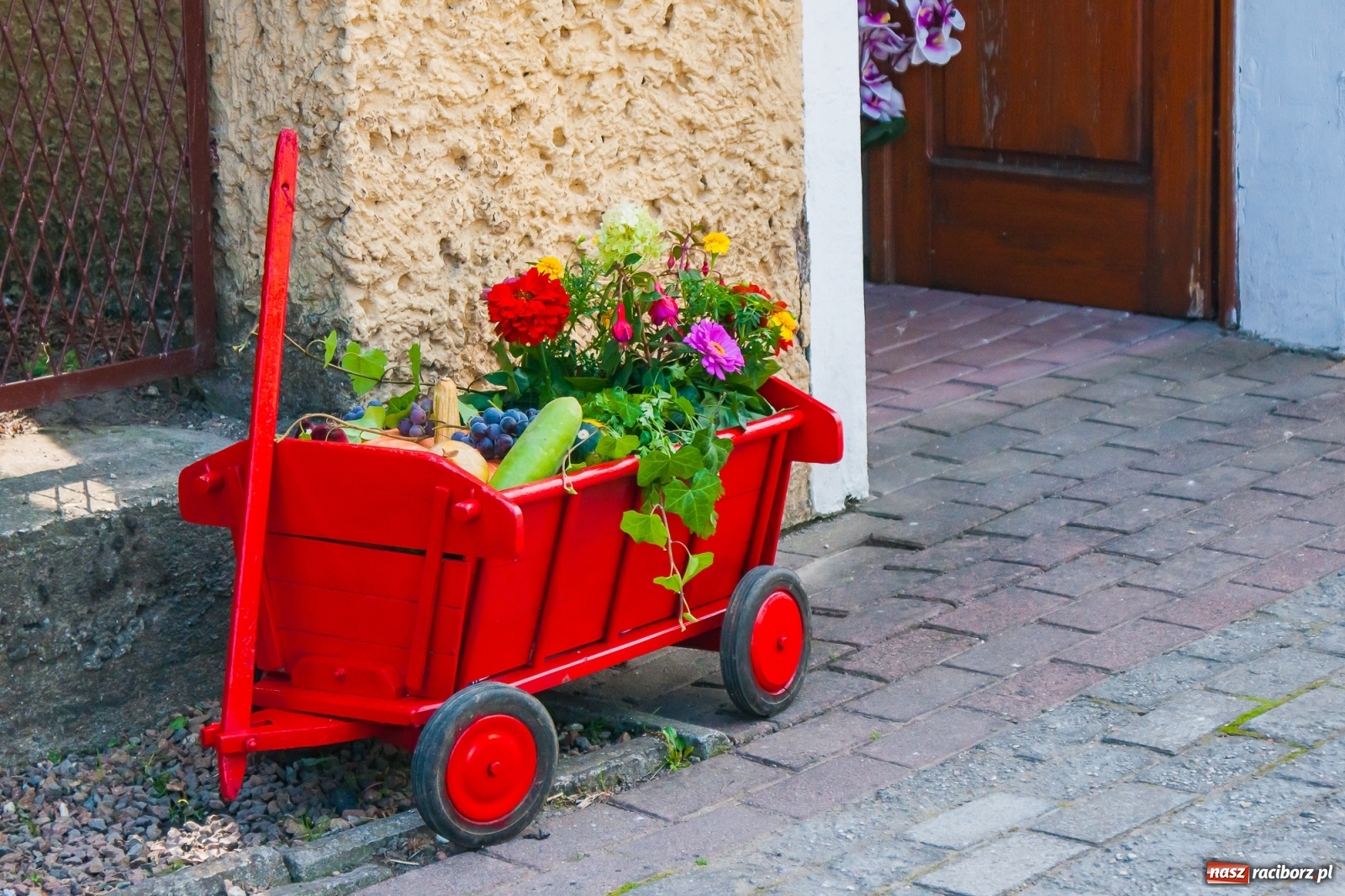 Zdjęcie w galerii na portalu naszraciborz.pl: Dożynki z humorem w Rudniku [FOTO i WIDEO] wiadomości z regionu