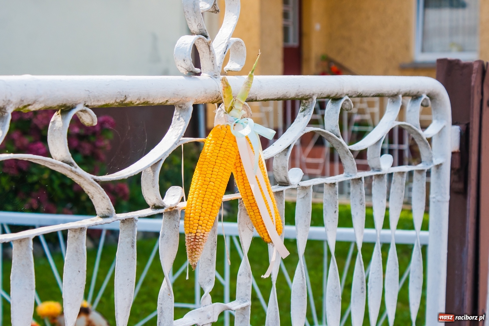 Zdjęcie w galerii na portalu naszraciborz.pl: Dożynki z humorem w Rudniku [FOTO i WIDEO] wiadomości z regionu