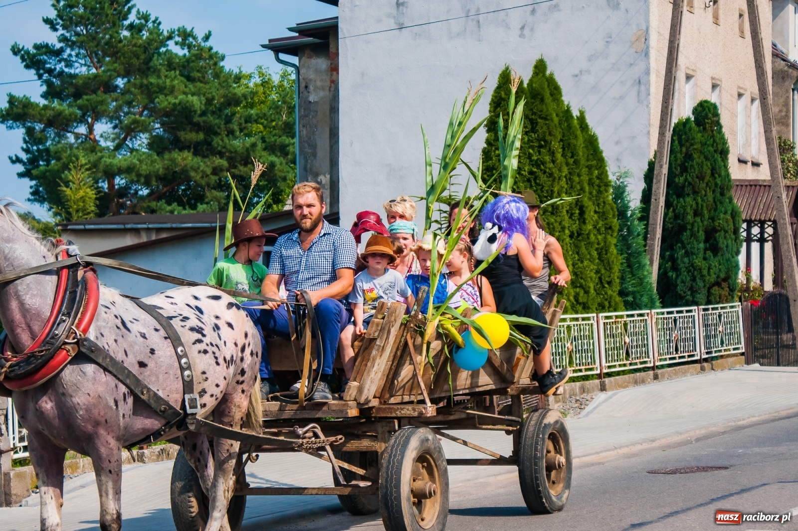 Zdjęcie w galerii na portalu naszraciborz.pl: Dożynki z humorem w Rudniku [FOTO i WIDEO] wiadomości z regionu