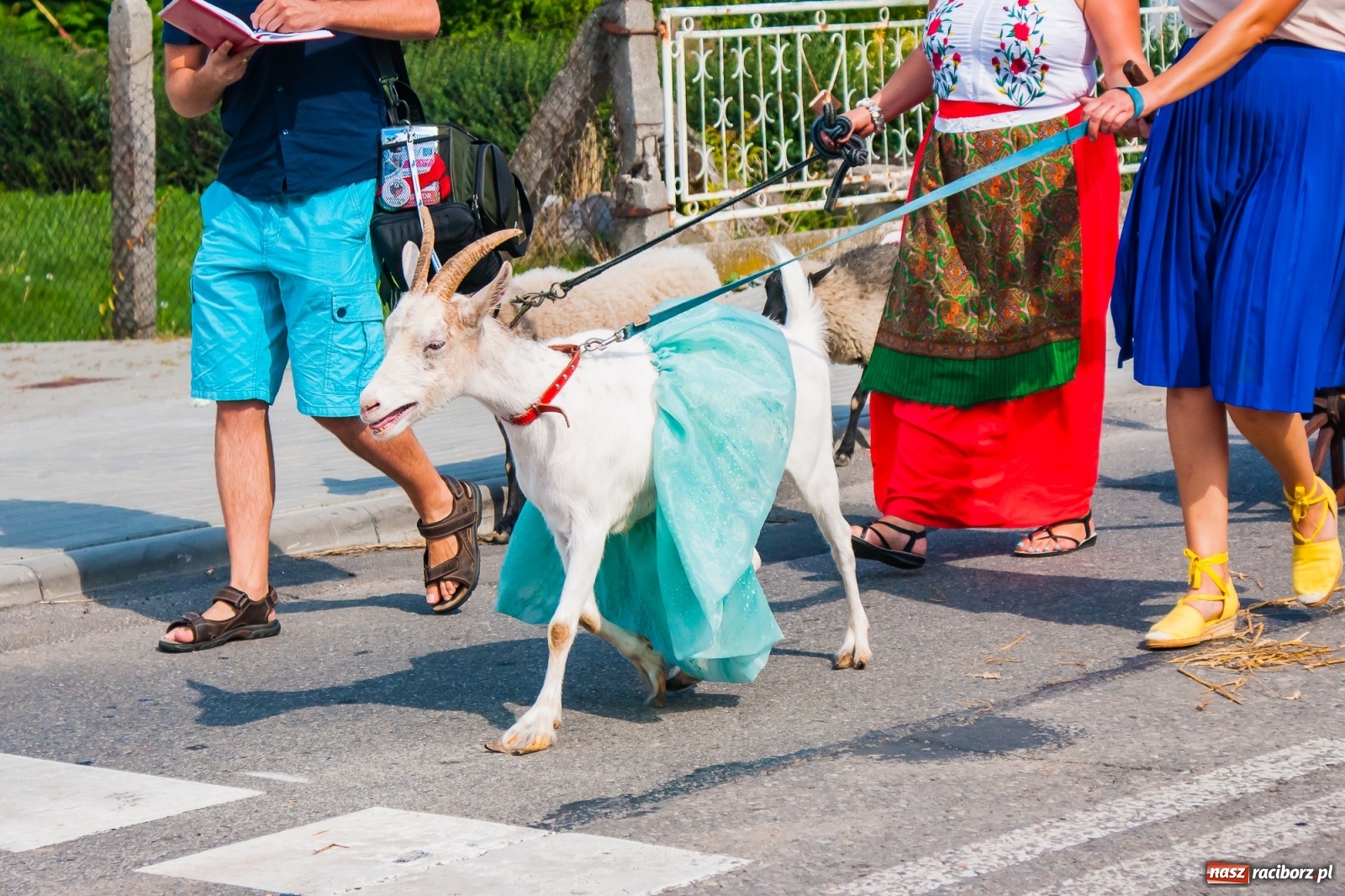 Zdjęcie w galerii na portalu naszraciborz.pl: Dożynki z humorem w Rudniku [FOTO i WIDEO] wiadomości z regionu