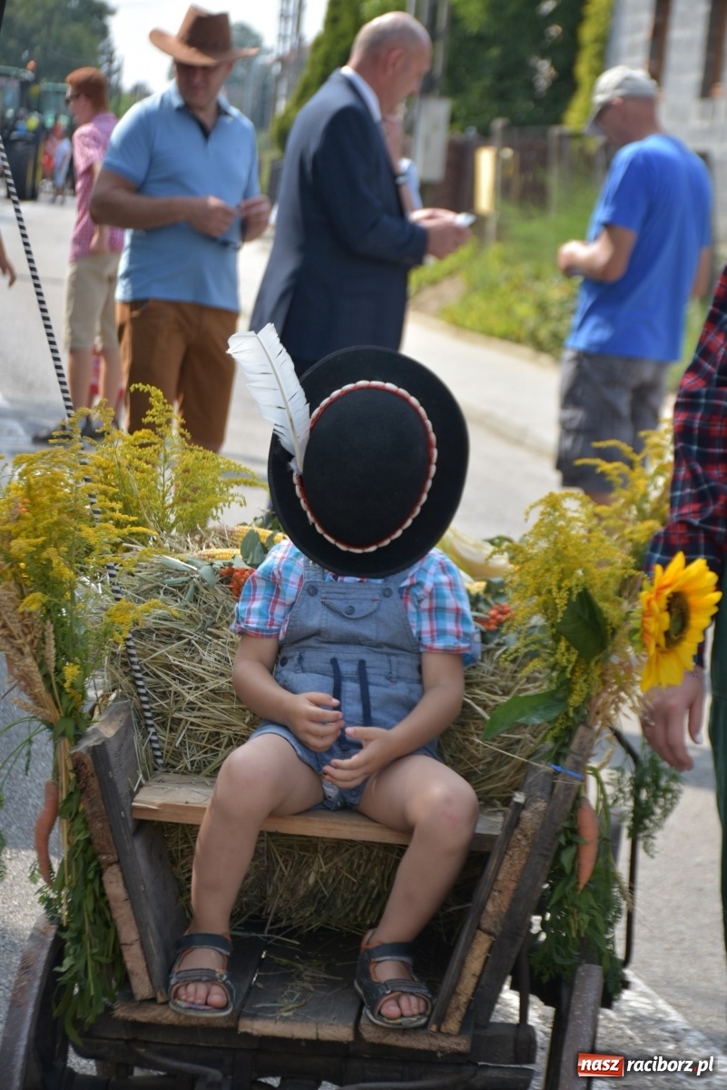 Zdjęcie w galerii na portalu naszraciborz.pl: Piękne panny z koroną żniwną. Dożynki w Krzyżanowicach wiadomości z regionu