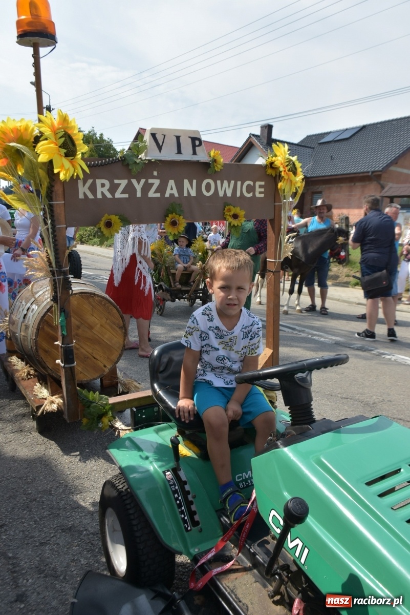 Zdjęcie w galerii na portalu naszraciborz.pl: Piękne panny z koroną żniwną. Dożynki w Krzyżanowicach wiadomości z regionu