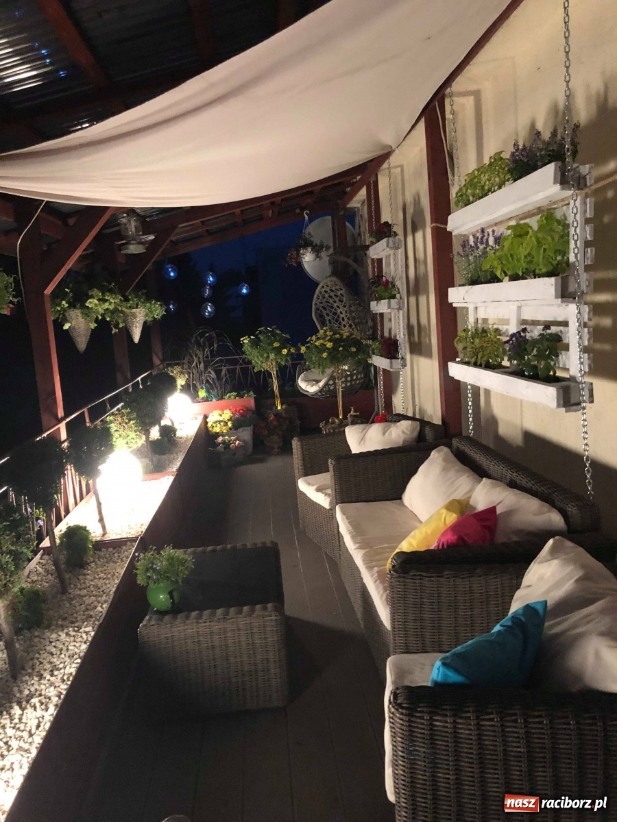Zdjęcie w galerii na portalu naszraciborz.pl: Ukwiecony taras. Oaza pani Ewy [ZDJĘCIA] wiadomości z regionu