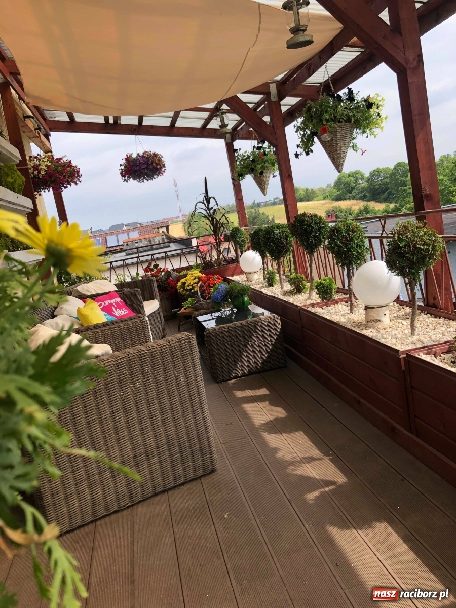 Zdjęcie w galerii na portalu naszraciborz.pl: Ukwiecony taras. Oaza pani Ewy [ZDJĘCIA] wiadomości z regionu
