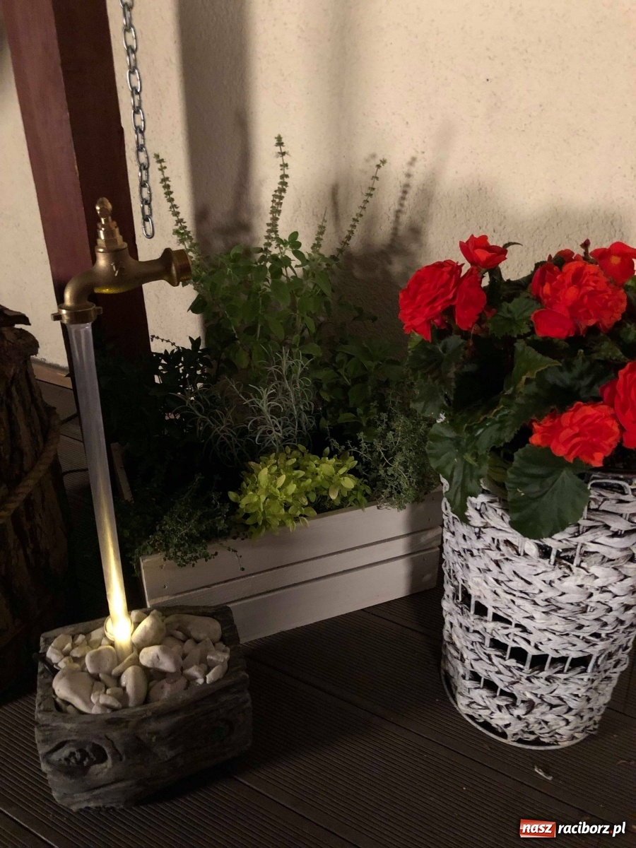 Zdjęcie w galerii na portalu naszraciborz.pl: Ukwiecony taras. Oaza pani Ewy [ZDJĘCIA] wiadomości z regionu