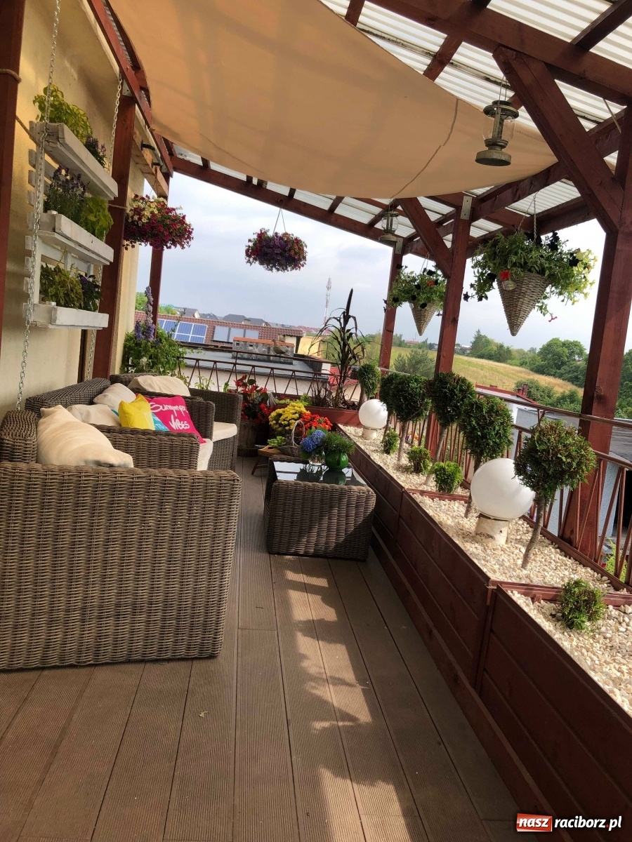 Zdjęcie w galerii na portalu naszraciborz.pl: Ukwiecony taras. Oaza pani Ewy [ZDJĘCIA] wiadomości z regionu