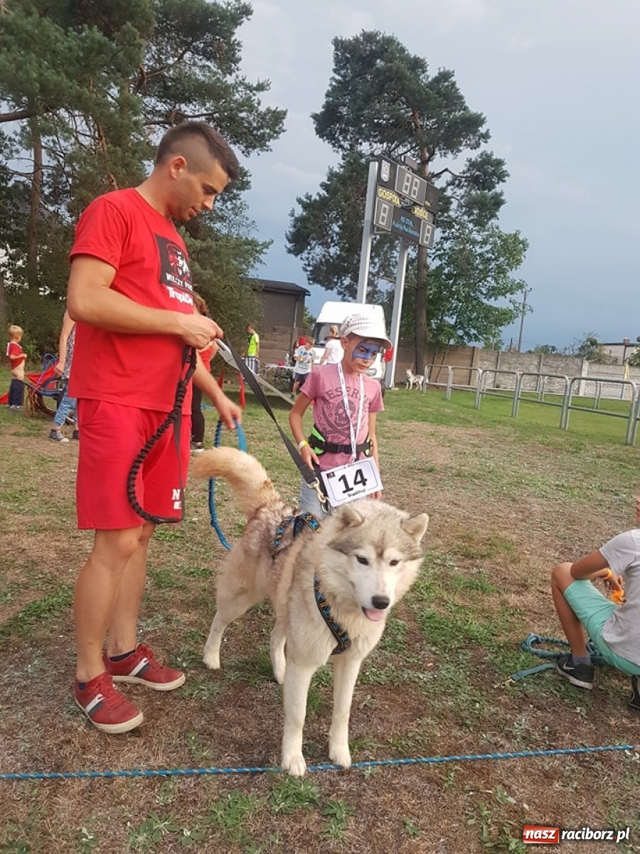 Zdjęcie w galerii na portalu naszraciborz.pl: Wilczy Pakt na Dniach Kuźni Raciborskiej [FOTO]  wiadomości z regionu
