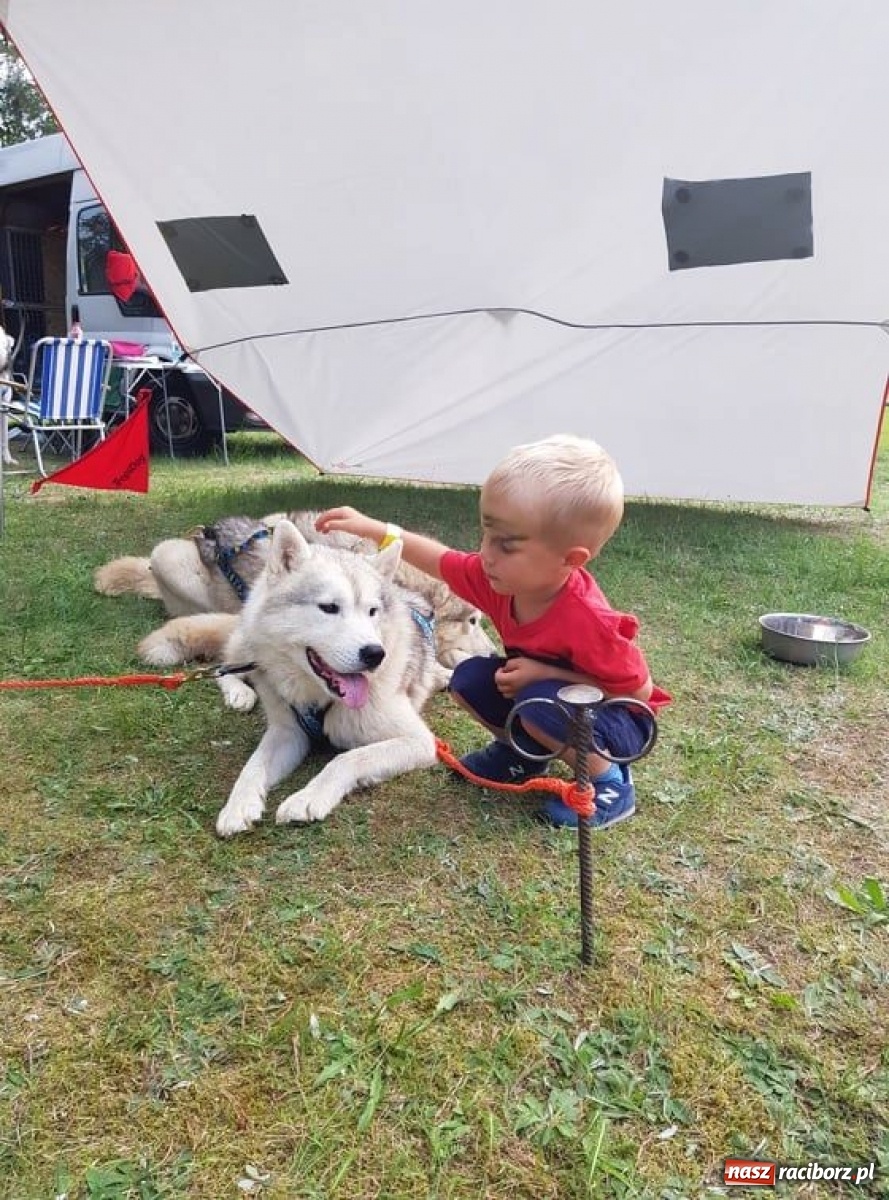 Zdjęcie w galerii na portalu naszraciborz.pl: Wilczy Pakt na Dniach Kuźni Raciborskiej [FOTO]  wiadomości z regionu