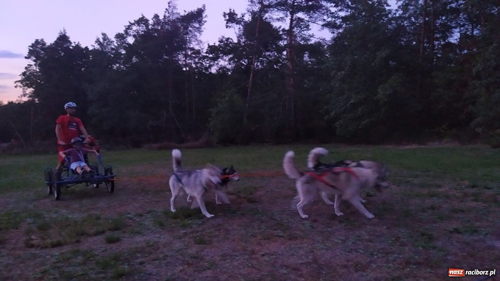 Zdjęcie w galerii na portalu naszraciborz.pl: Wilczy Pakt na Dniach Kuźni Raciborskiej [FOTO]  wiadomości z regionu