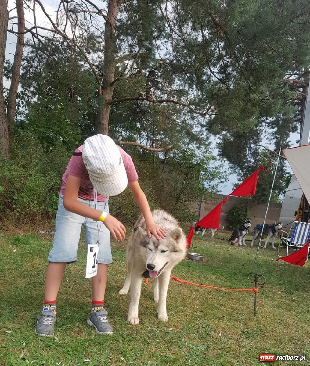 Zdjęcie w galerii na portalu naszraciborz.pl: Wilczy Pakt na Dniach Kuźni Raciborskiej [FOTO]  wiadomości z regionu