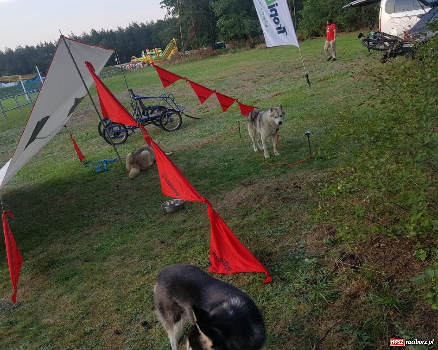 Zdjęcie w galerii na portalu naszraciborz.pl: Wilczy Pakt na Dniach Kuźni Raciborskiej [FOTO]  wiadomości z regionu