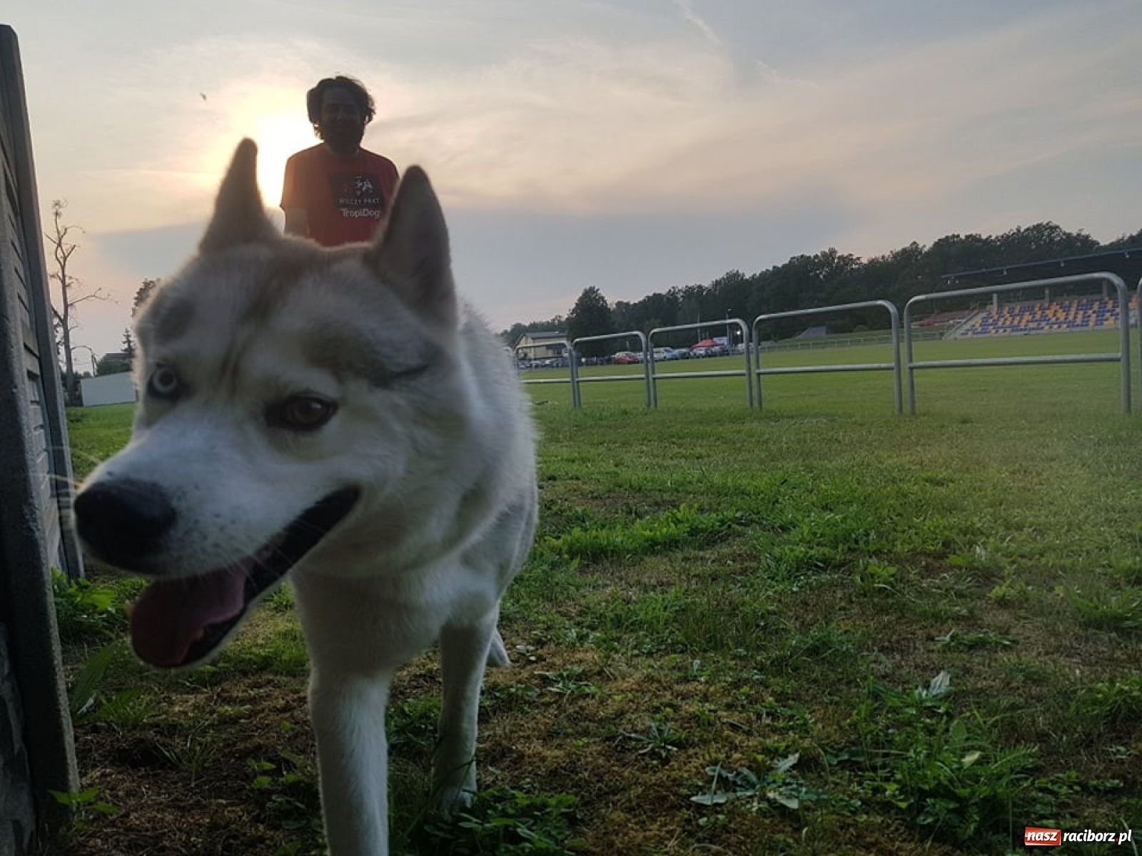 Zdjęcie w galerii na portalu naszraciborz.pl: Wilczy Pakt na Dniach Kuźni Raciborskiej [FOTO]  wiadomości z regionu