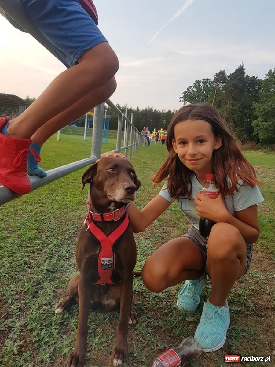 Zdjęcie w galerii na portalu naszraciborz.pl: Wilczy Pakt na Dniach Kuźni Raciborskiej [FOTO]  wiadomości z regionu