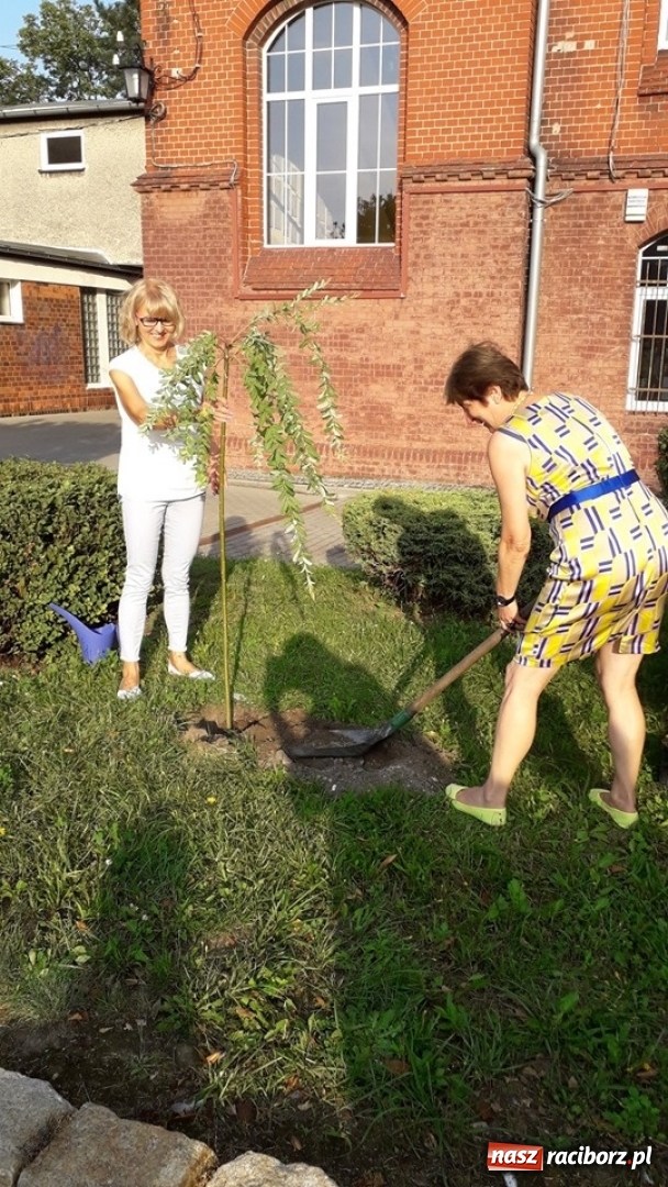 Zdjęcie w galerii na portalu naszraciborz.pl: Węgierska młodzież z wizytą w Raciborzu [FOTO] wiadomości z regionu