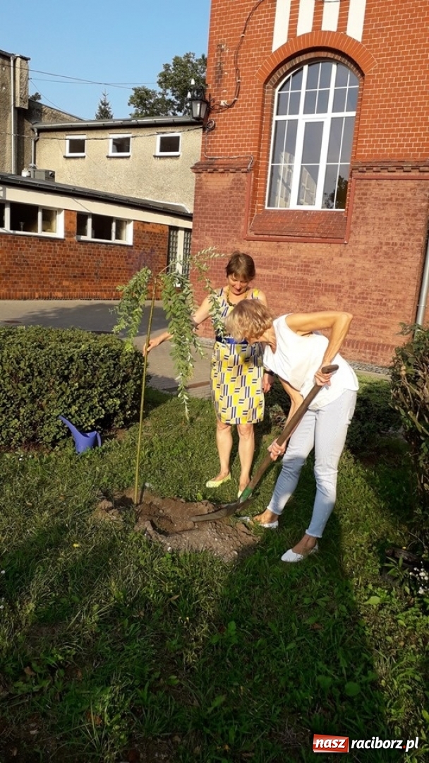 Zdjęcie w galerii na portalu naszraciborz.pl: Węgierska młodzież z wizytą w Raciborzu [FOTO] wiadomości z regionu