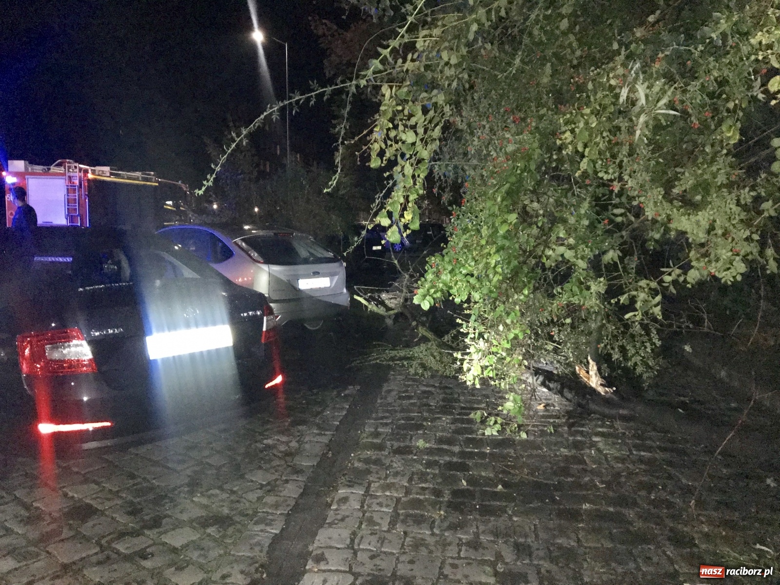 Zdjęcie w galerii na portalu naszraciborz.pl: Burza nad Raciborzem i powiatem [FOTO]  wiadomości z regionu