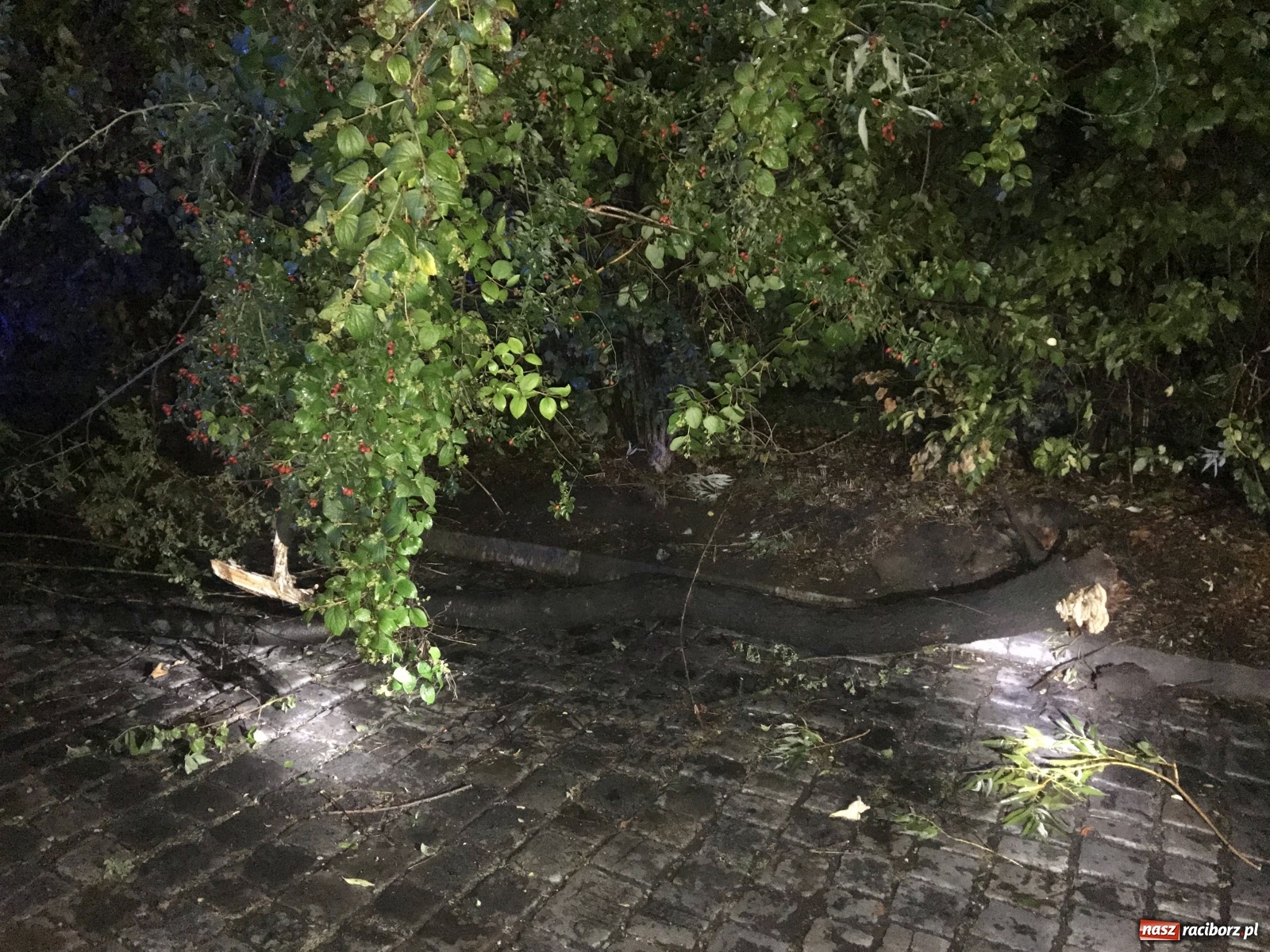 Zdjęcie w galerii na portalu naszraciborz.pl: Burza nad Raciborzem i powiatem [FOTO]  wiadomości z regionu