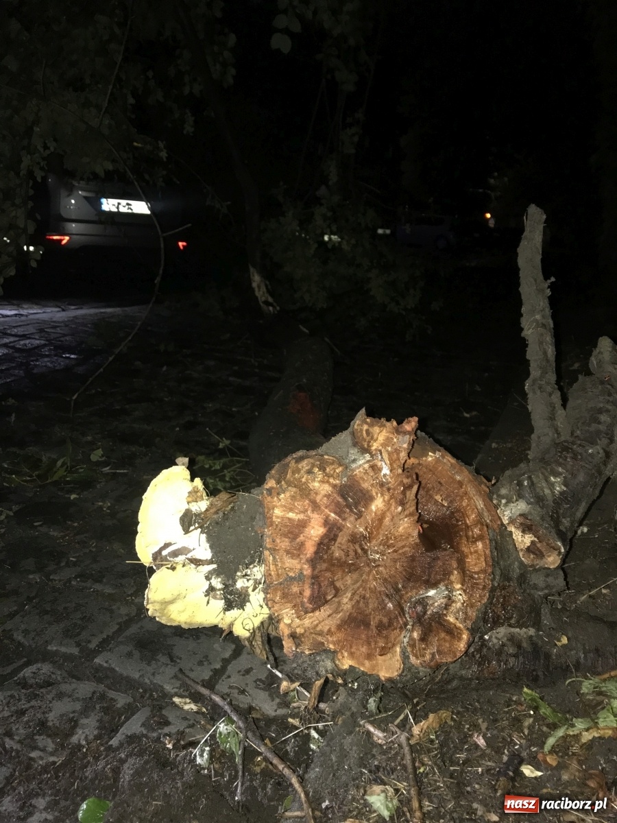 Zdjęcie w galerii na portalu naszraciborz.pl: Burza nad Raciborzem i powiatem [FOTO]  wiadomości z regionu
