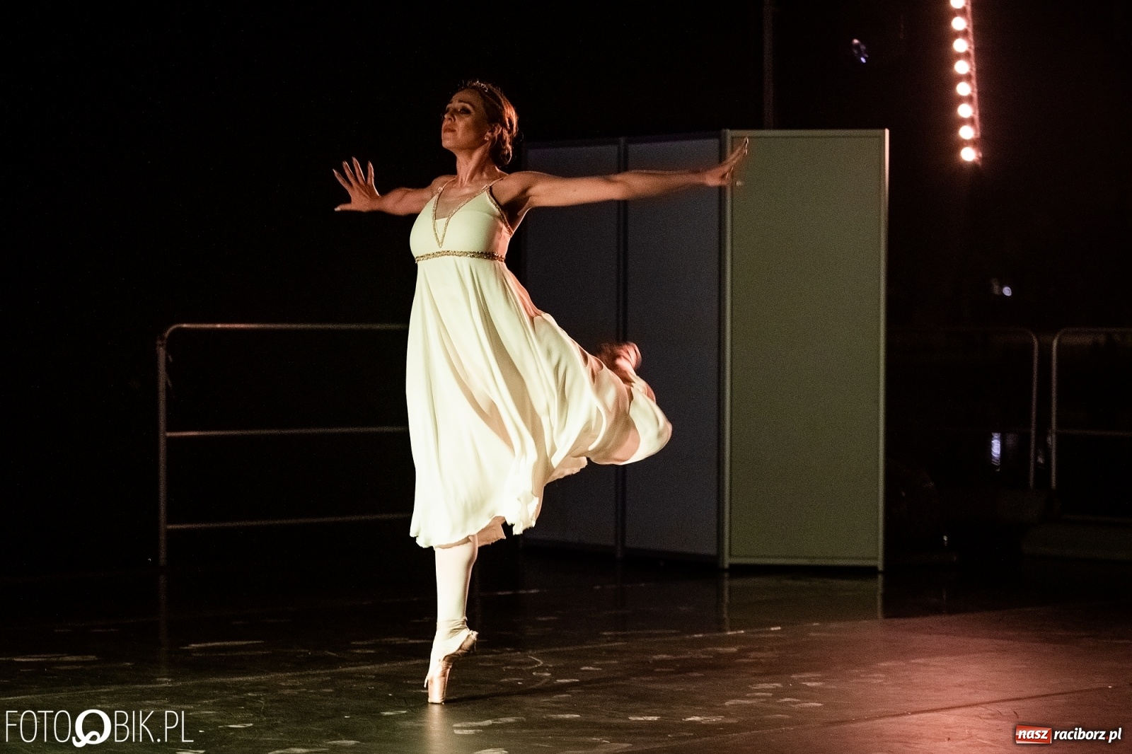 Zdjęcie w galerii na portalu naszraciborz.pl: Zaklęty łabędź zdobył Racibórz [FOTO]  wiadomości z regionu