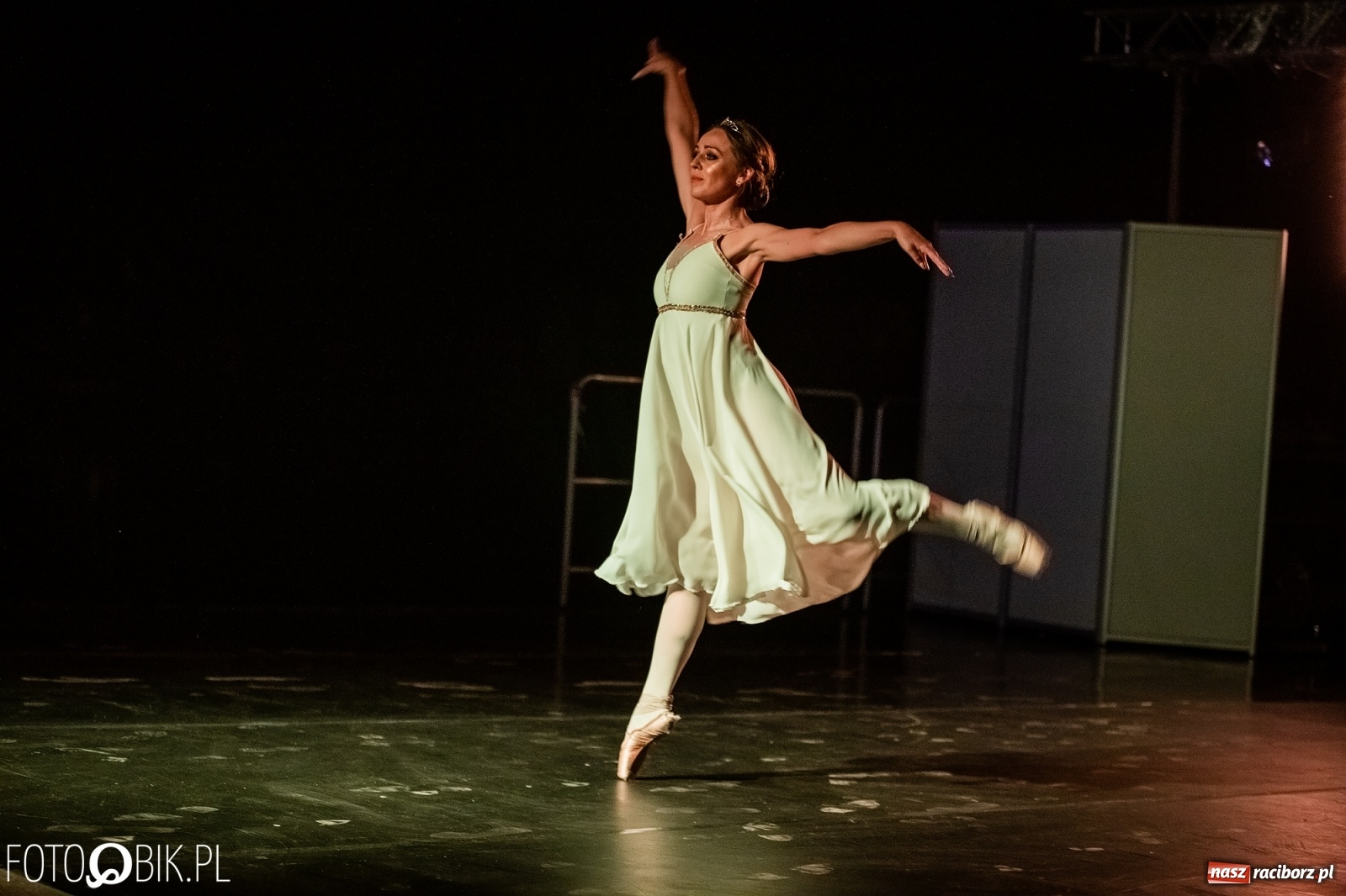 Zdjęcie w galerii na portalu naszraciborz.pl: Zaklęty łabędź zdobył Racibórz [FOTO]  wiadomości z regionu