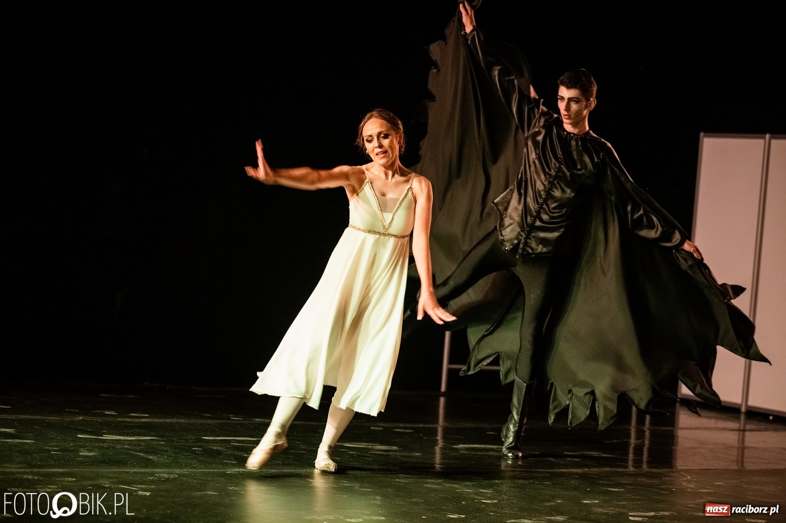 Zdjęcie w galerii na portalu naszraciborz.pl: Zaklęty łabędź zdobył Racibórz [FOTO]  wiadomości z regionu