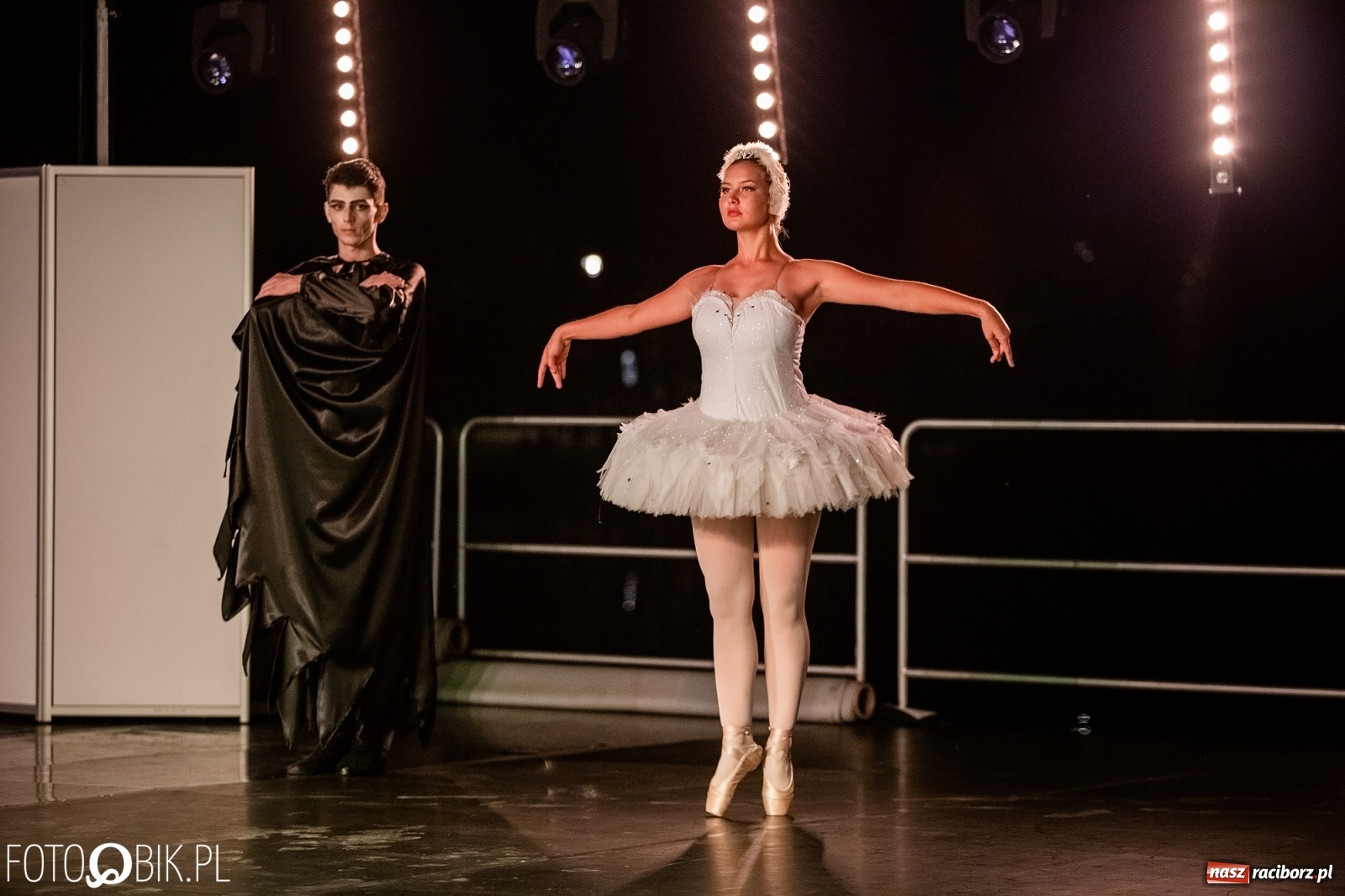 Zdjęcie w galerii na portalu naszraciborz.pl: Zaklęty łabędź zdobył Racibórz [FOTO]  wiadomości z regionu