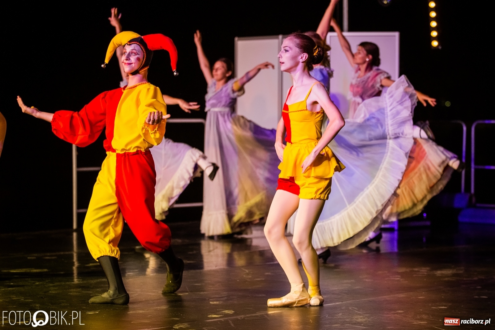 Zdjęcie w galerii na portalu naszraciborz.pl: Zaklęty łabędź zdobył Racibórz [FOTO]  wiadomości z regionu