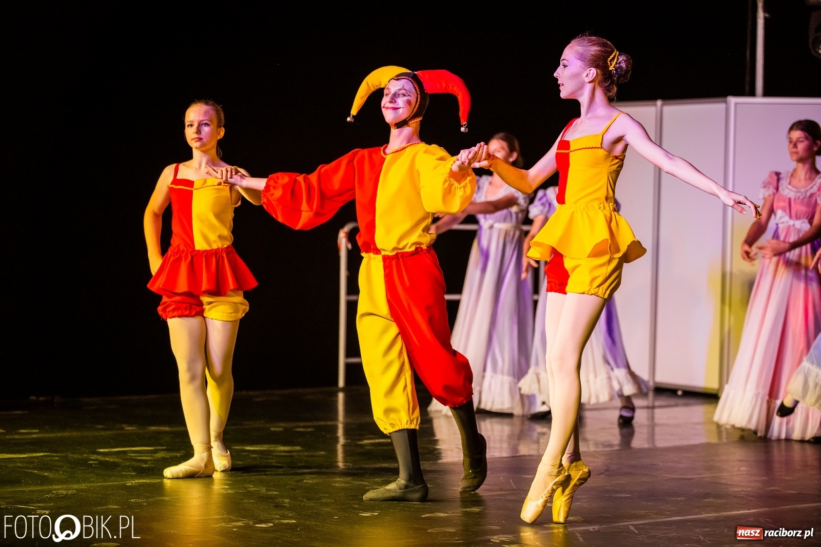 Zdjęcie w galerii na portalu naszraciborz.pl: Zaklęty łabędź zdobył Racibórz [FOTO]  wiadomości z regionu