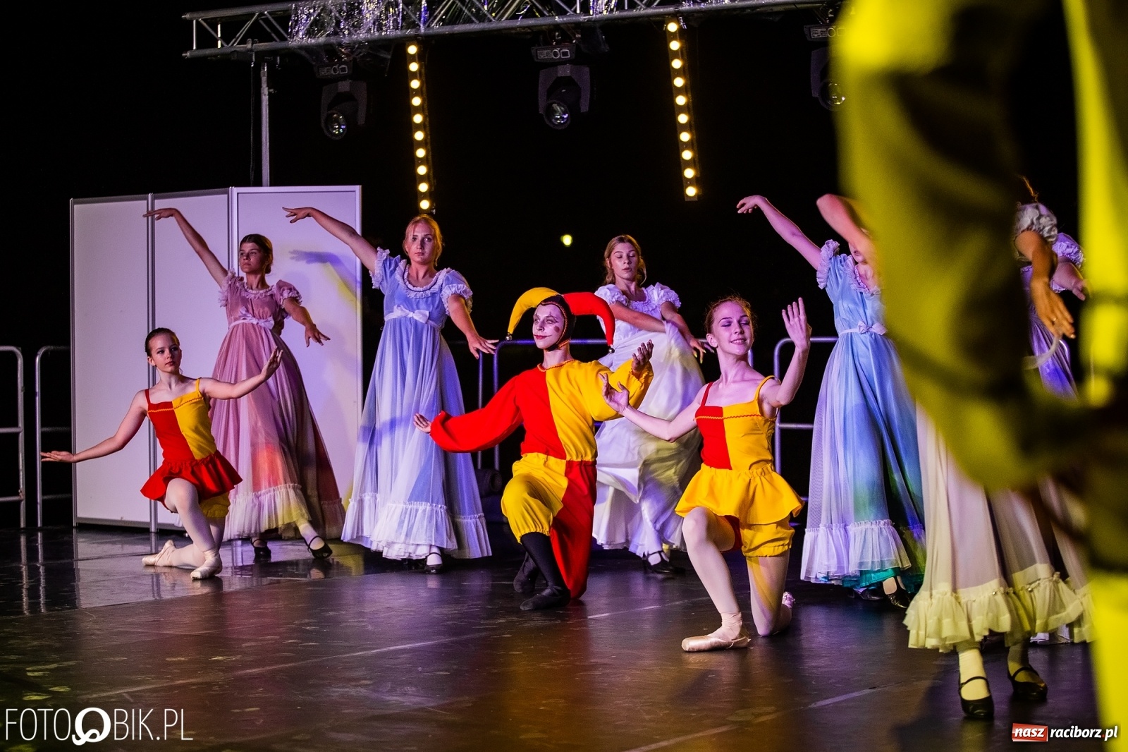 Zdjęcie w galerii na portalu naszraciborz.pl: Zaklęty łabędź zdobył Racibórz [FOTO]  wiadomości z regionu