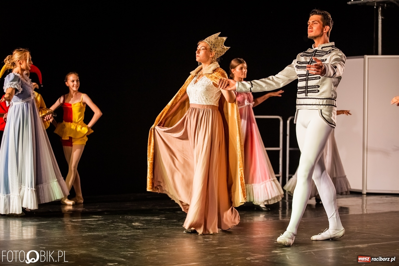 Zdjęcie w galerii na portalu naszraciborz.pl: Zaklęty łabędź zdobył Racibórz [FOTO]  wiadomości z regionu