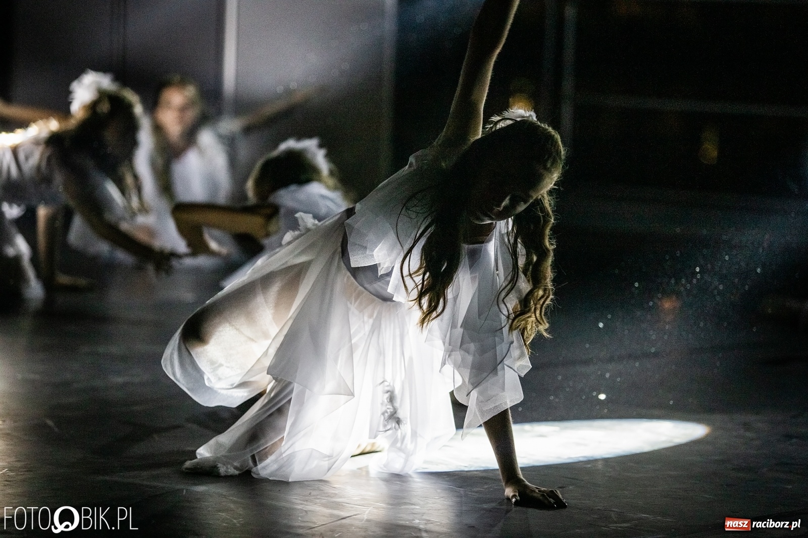 Zdjęcie w galerii na portalu naszraciborz.pl: Zaklęty łabędź zdobył Racibórz [FOTO]  wiadomości z regionu