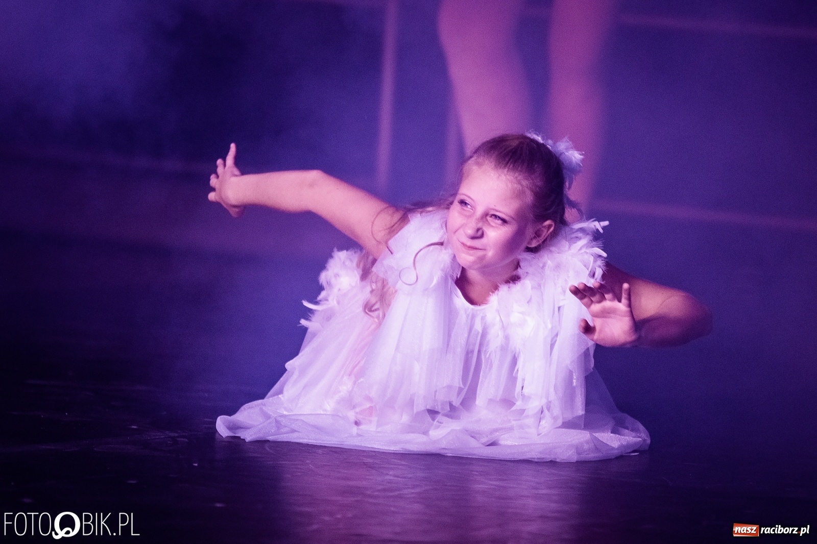 Zdjęcie w galerii na portalu naszraciborz.pl: Zaklęty łabędź zdobył Racibórz [FOTO]  wiadomości z regionu